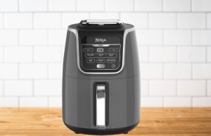 ninja airfryer test